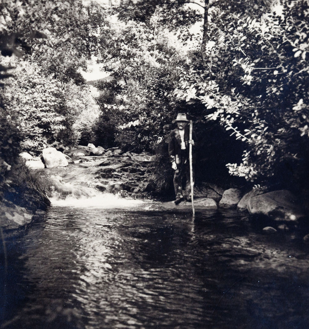 Image description