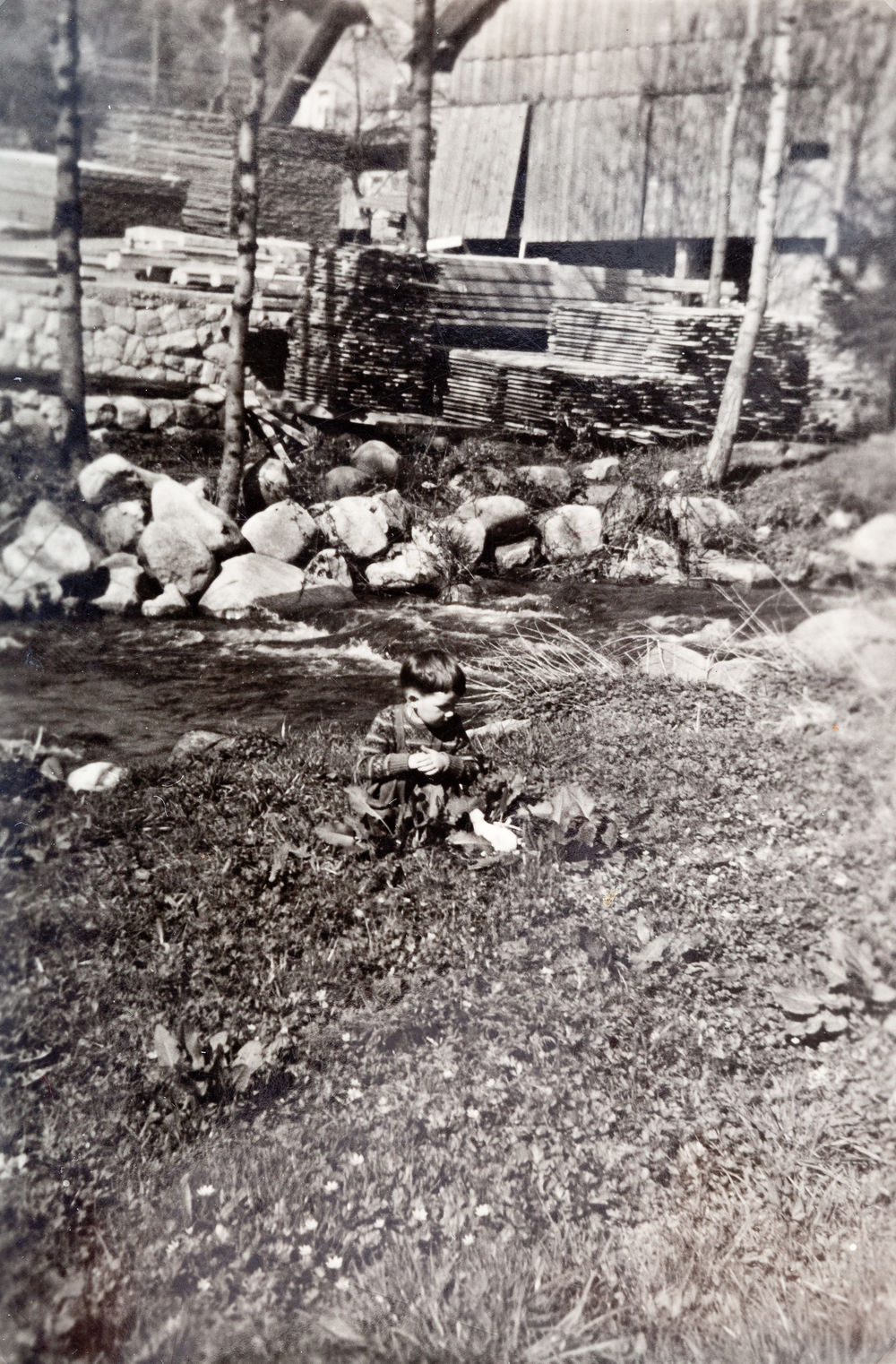 Image description