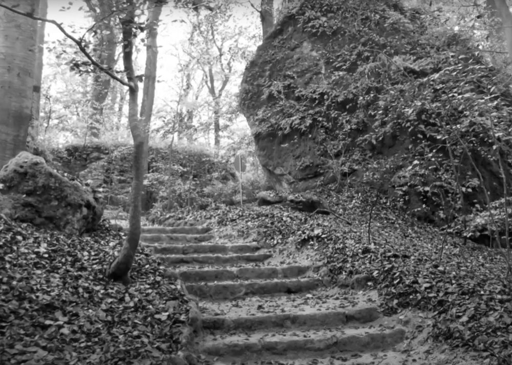 Image description