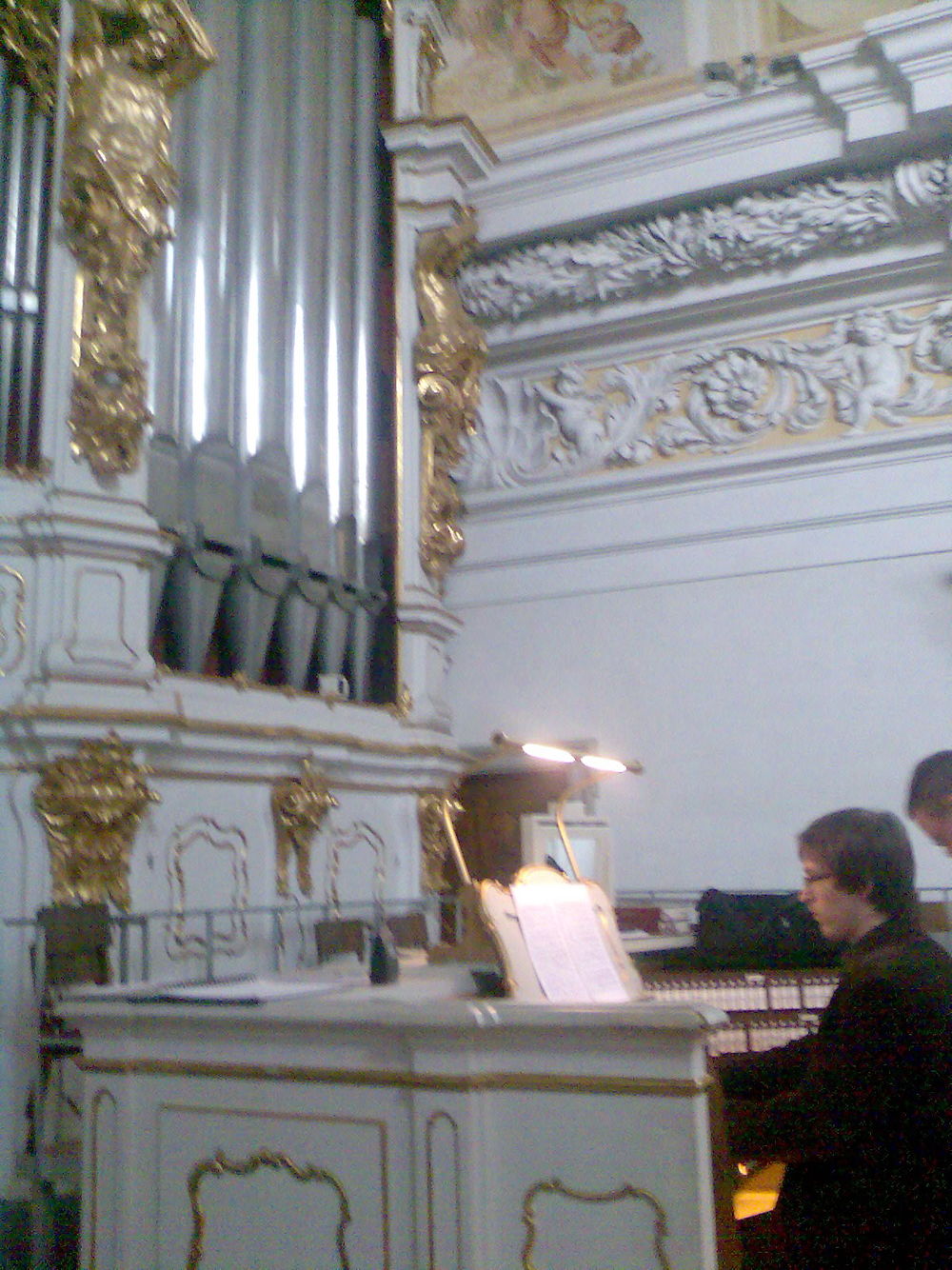 Image description
