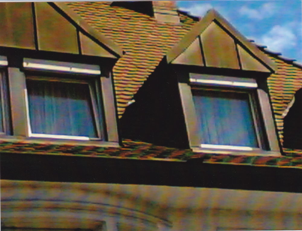 Image description