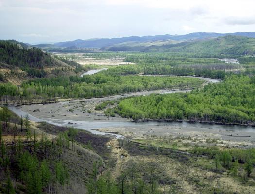 Image description